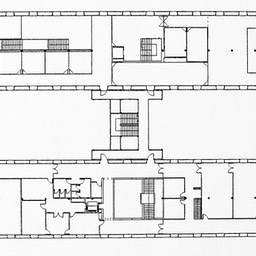 plantas superiores copia