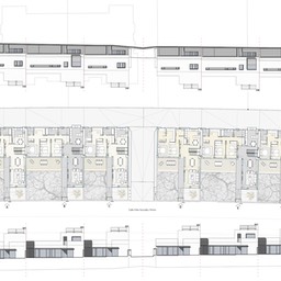 implantacion en parcelas 4